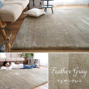 �VEX�}�C�N��2�w �E���^�� ���O MS-305 [sn]190×190cm190 2�� �􂦂� �����` �k�� ������� �J�[�y�b�g �}�C�N���t�@�C�o�[ �p�C�� ������ ����~�� ��z�����A���f�q�h �Չ� ���g�[�Ή� �X�~�m�G