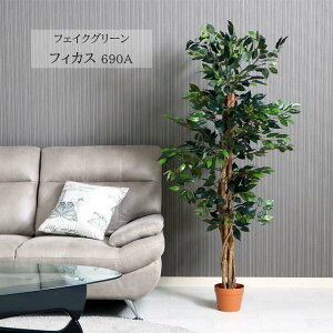 tFCNO[ tBJX 690A[fbc]60×s60×150cmlHA tFCN C~e[V tBJX [t ϗtA t O[ CeA    fBXvC A |b