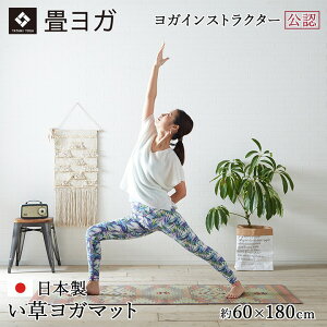 Ygp CXgN^[F K}bg u􃈃Kv 60×180cm A[XGN(O[) A[XNV(lCr[) vEhBR(uE) vEhRO([Y) eBX SAKURAxm K }bg Y 