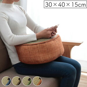 NbV X}z  RۖhL L ѐRoK[huNA X}zNbVv 30×40×15cm 4FWJ hbg Vv   z Q[ Ǐ ڂ ̂ɃtBbg