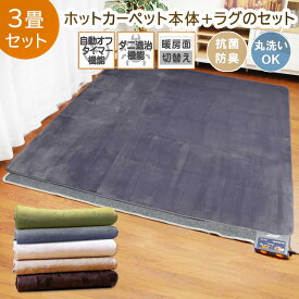 ホットカーペット + ラグ セット 3畳 「 ホットカーペット + Dフランネルラグ 2点セット 」3畳用 ホットカーペット 3畳 セット 本体 電気カーペット 電気カーペットカバー ホットカーペット対応 洗える ラグ フランネルラグ おしゃれ ラグマット