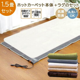 ホットカーペット + ラグ セット 1.5畳 「 ホットカーペット + Dフランネルラグ 2点セット 」1.5畳用 ホットカーペット 1.5畳 セット 本体 電気カーペット 電気カーペットカバー ホットカーペット対応 洗える ラグ フランネルラグ おしゃれ ラグマット