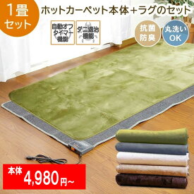 【ホットカーペット本体のみも可】 ホットカーペット + ラグ セット 1畳 「 ホットカーペット + Dフランネルラグ 2点セット 」1畳用 ホットカーペット 1畳 セット 電気カーペット 電気カーペットカバー ホットカーペット対応 洗える ラグ フランネルラグ