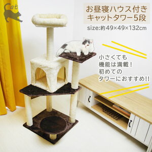 Lbg^[ 5i Q nEX t CT-170037 49×49×132cm ω׏d`20kg ܂Ƃ ߂Ƃ ܌ 킢 |[  Lbg^[ lV xbh lR ybg ^ ^[ 
