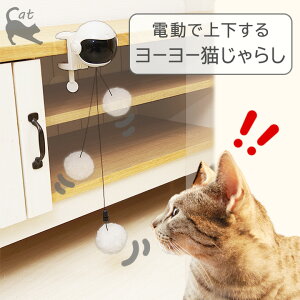 オ艺 [[ L炵 CTY-22031TCYF20×21 cm L  d lV ˂炵 Lpi   ^ s Lp