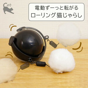 [Ɠ] [O L炵 CTY-22032TCYF20×21 cm d lV ˂炵 Lpi   ^ Lp XgX ybg ] ]