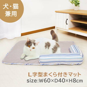 ybgp XgCv L^t }bg PM-061056 60×40×8cm u 悹 tybg}bg ybgxbh ybgxbg ܂   L 킢 D-SERIES