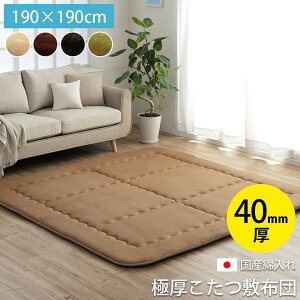 Ɍ ~zc ӂ烉O `u X[X F~ v 190×190cm 4FWJ YŖ40mmgp tln ӂ~ y 炩 h ۉ H Vv 