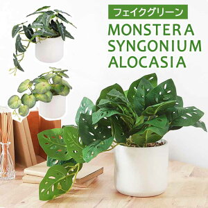 tFCNO[ Z~bN |bg VSjE AJVA Xe[fbc]lHA tFCN C~e[V ϗtA O[ CeA   fBXvC A |bg 5