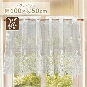 h JtFJ[e NCt 100×50cmJtFJ[e  [X  h J[e J[e p ډB  ډBJ[e o [XJ[e  100 50 op