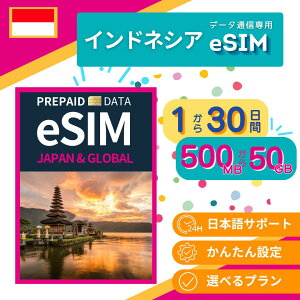 y ChlVA eSIM zEʐMʂIׂ / [œ͂炷pł / pX|[g񓙂̓o^sv 1 5 7 10 15 20 30 Indonesia