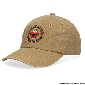 t[cIuU[ ZT~Xg[g R{ cC Lbv Xq SESAME STREET Be[W FRUIT OF THE ROOM Y fB[X jZbNX R{[V G NbL[X^