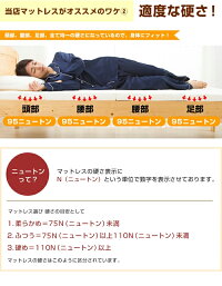 横向き硬さ95N