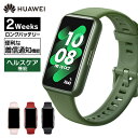 スマートウォッチ HUAWEI Band7 ファーウェイ ワークアウト 超薄型 ロングバッテリー スマートバンド 防水 着信通知 健康管理 心拍数 睡眠測定 血中酸素 グラファイトブラック ウィルダネスグリーン ネビュラピンク フレイムレッド