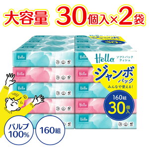 yP[X̔zn[ \tgpbNeBbV 160g 30×2pbN 5221-caseeBbV eBbVy[p[ Ȃ \tgpbNeBbV n[eBbV \tgpbN eBbVe 