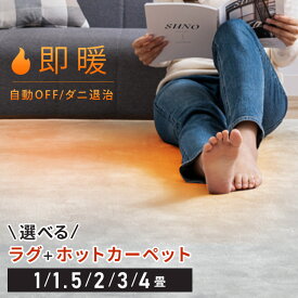 ホットカーペット 1畳 1.5畳 2畳 3畳 4畳 ラグ セット 省エネ 本体 TEKNOS 電気カーペット コンパクト ホットマット 電気マット 省エネ 正方形 切り忘れ自動OFF ダニ退治機能付 簡単操作 温度調節 コンパクト収納 グレー