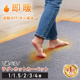 ホットカーペット 1畳 1.5畳 2畳 3畳 4畳 本体 長方形 正方形 電気カーペット ホットマット 電気マット 速暖 暖房 温度調節 切忘れタイマー 簡単 操作 ダニ対策 足元暖房 床暖房 暖房器具 折りたたみ TEKNOS テクノス TWA * ラグ セット