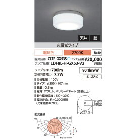 楽天市場 Gx53 シーリングの通販