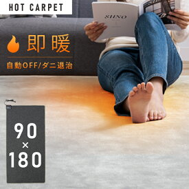 ホットカーペット 1畳 本体 90×180cm 電気カーペット 電気マット ホットマット 足元 足元暖房 温め あったか 足元ヒーター 暖房器具 暖房機 暖房 寒さ対策 防寒グッズ ダニ退治 一人暮らし テクノス TEKNOS