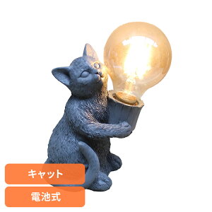 yő400~N[|I炵+z e[uv dr Cg ԐڏƖ  fRAj}Cg Lbg DRLG2002Ɩ  CeA ԐڏƖ DRLG2002 d Cg fRAj}Cg 