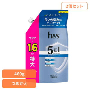 �y2�Z�b�g�z�{�f�B�P�A �w�A�P�A �X�^�C�����O h&s �w�A�P�A h&s 5in1 �N�[���N�����Y �V�����v�[ �߂�������T�C�Y P&G �V�����v�[ �����X�C���V�����v�[ �l�ߑւ��p ����T�C�Y h&s �w�b�h