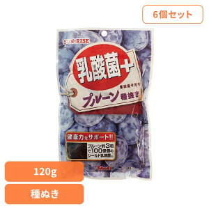 y6zTCY@ʎ@_ہ{v[ʂ120g hHi Shoei hCt[c  _ v[ ʂ \tg  