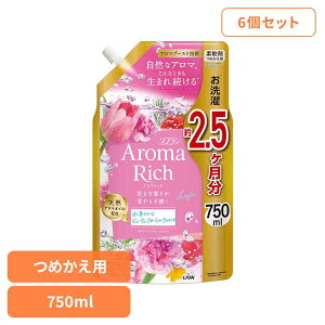【6個セット】ソフランアロマリッチ レイラ つめかえ用 750ml ライオン 洗濯補助剤 柔軟剤 芳香重視 ソフラン アロマリッチ レイラ つめかえ用 大容量 まとめ買い ライオン