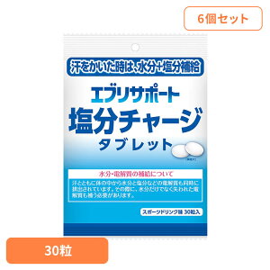 �y6�z�G�u���T�|�[�g����C�^�u���b�g 30�� ���^�u���b�g �����`���[�W �����⋋ �����^�u���b�g �G�u���T�|�[�g �G�u���T�|�[�g
