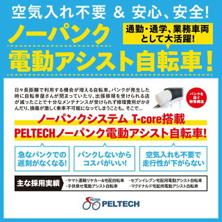 電動自転車自転車E−BIKE折り畳み自転車折りたたみパンクしないラクラク坂道電動ペルテックPELTECHノーパンク20インチ折り畳み電動アシスト自転車外装6段変速【簡易組立必要品】