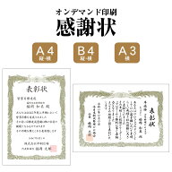 感謝状 表彰状 印刷 退職 異動 PTA 先生 コーチ 校正無料 名入れ対応 賞状用紙