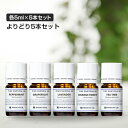 アロマオイル セット よりどり 5本 1000円 お試し アロマ エッセンシャルオイル 精油 【送料無料】 全31種 (各5ml) メール便 (追跡番号付き) ...