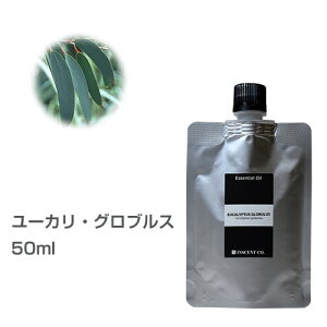 yl֗p/A~pbNz[JEOuX 50ml GbZVIC  A}IC A} e Ɩp CZg AEAJ F萸 {A} A}fBt[U[ A
