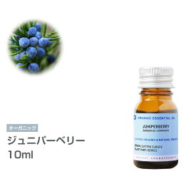 [オーガニック] ジュニパーベリー 10ml エッセンシャルオイル 精油 アロマオイル アロマ 有機 無農薬 農薬不使用 インセント AEAJ 認定精油 日本アロマ環境協会 アロマディフューザー アロマ加湿器【IST】