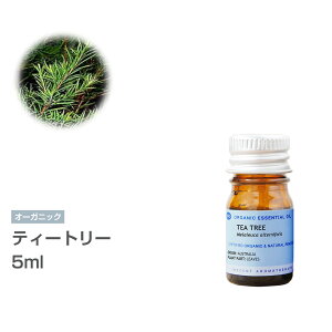 [I[KjbN] eB[g[ 5ml GbZVIC  A}IC A} eB[gD[ eB[c[ L@ _ _sgp CZg AEAJ F萸 {A} A}