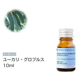 [オーガニック] ユーカリ・グロブルス 10ml エッセンシャルオイル 精油 アロマオイル アロマ 有機 無農薬 農薬不使用 インセント AEAJ 認定精油 日本アロマ環境協会 アロマディフューザー アロマ加湿器【IST】