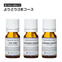 アロマオイル セット よりどり 3本 各10ml 【メール便送料無料/全42種】 AEAJ 認定精油 バリューオイルも選べる アロマ ディフューザー 加湿器