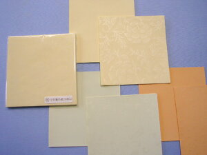 F Kp 50Zbg ȗpÕMՏpp