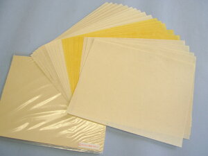 {tWypz 20Zbg ȗpÕMՏp