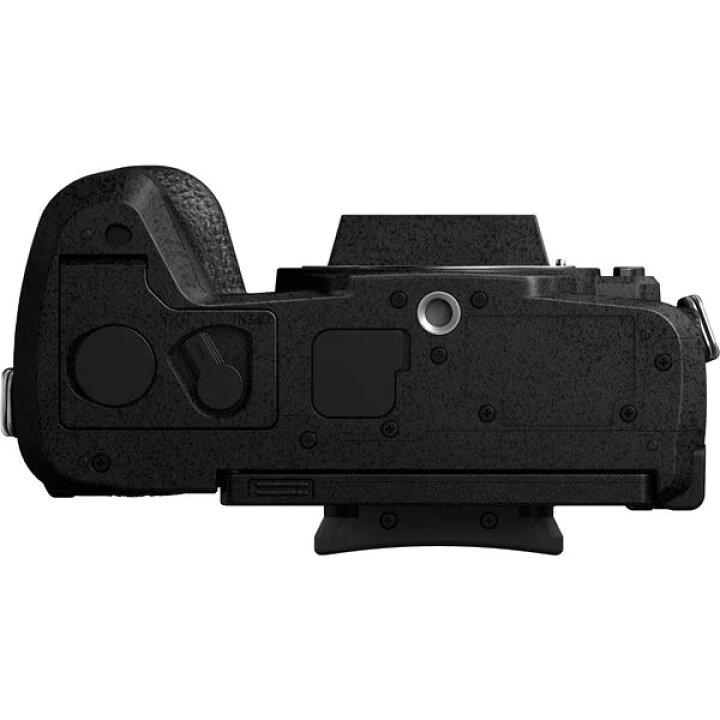 楽天市場】パナソニック LUMIX G99M2 ボディ ブラック DC-G99M2 ミラー 