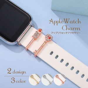 �X�}�[�g�E�H�b�`�A�N�Z�T���[ AppleWatch�p�o���h�`���[�� �P�i 1�� �o���h�A�N�Z�T���[ �A�b�v���E�H�b�`�p �x���g�A�N�Z�T���[ ���C���X�g ���̓�