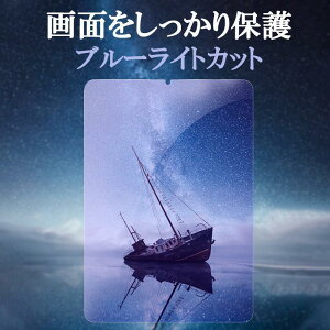 iPad mini 6 �K���X�t�B���� �u���[���C�g�J�b�g iPad mini 5 �����K���X�t�B���� �ϏՌ� iPad mini 4 iPad mini 3 2 ���� 9H ��U�h�~ ���E���h�G�b�W ���ȋz���V�l�̓�