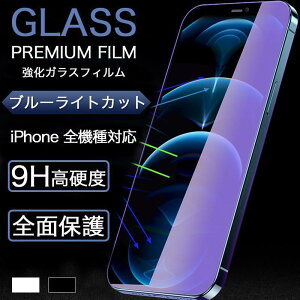 iPhone12 Pro Max �K���X�t�B���� �u���[���C�g�J�b�g iPhone 12 mini �t�B���� 3D �����K���X�t�B���� 9H�d�x �A�C�t�H��12 �t���ی�t�B���� ��U�h�~