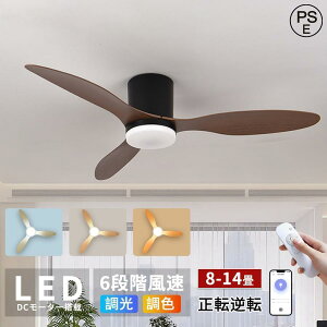 �V�[�����O�t�@�����C�g led �������F ��@ 8�� 10�� 14�� �t�@���t���Ɩ� �V�[�����O���C�g �k�� �t��]�@�\ �Ɩ���� �V��Ɩ� 3�H�� �y�� ���^ ��C�z�� ���̓�