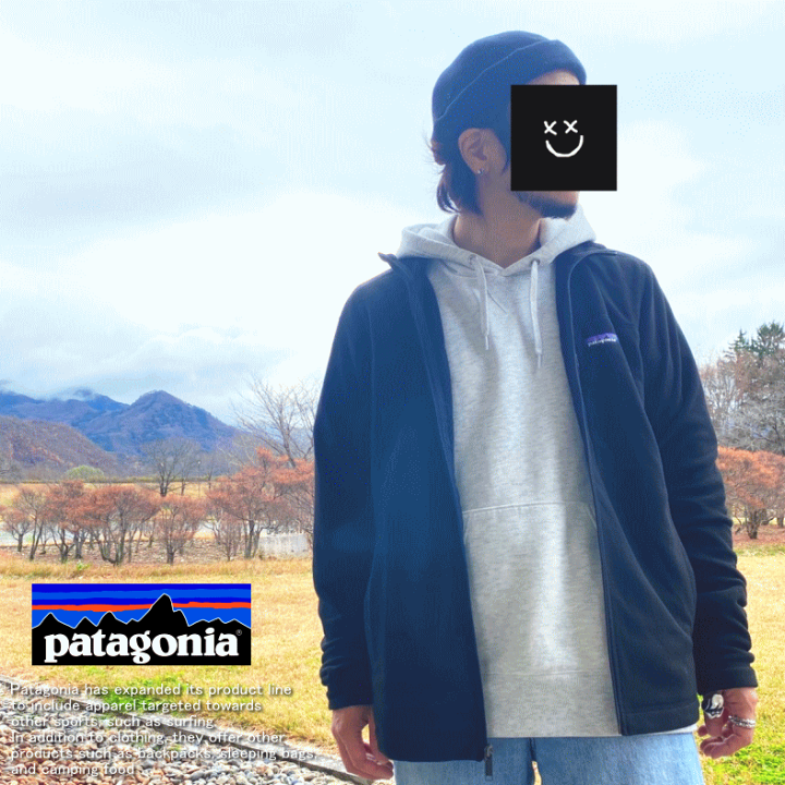 patagoniaジャケット patagonia PATAGONIA パタゴニア Micro D Jacket フリース ジャケット