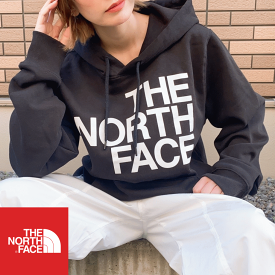 【価格見直しました】 【女性にオススメ】 THE NORTH FACE ザ ノースフェイス Brand Proud Hoodie グラフィック プルオーバー フーディー NF0A8121 メンズ企画 日本未発売