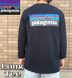 PATAGONIA パタゴニア P-6 Logo Long Sleeve T-shirts ロゴ ロンT 38518