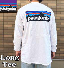 PATAGONIA パタゴニア P-6 Logo Long Sleeve T-shirts ロゴ ロンT 38518