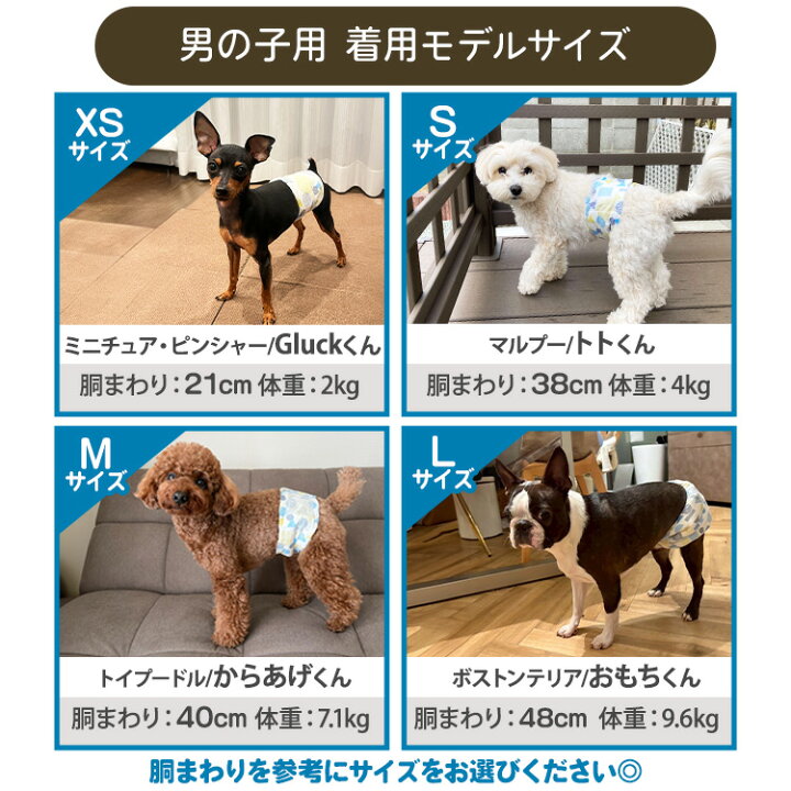 楽天市場】【長時間安心】 ペット おむつ 犬用おむつ マナーベルト 