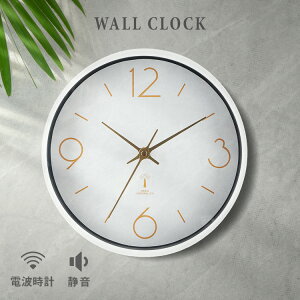 v Ǌ| dg|v AIX a25cm 28191 |v dg|v É  Vv y zCg ubN l炵 dgǂ |v k 킢 ǂ LbY V
