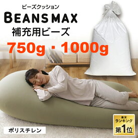 ★ランキング1位★ ビーズクッション 補充 補充用ビーズ 中身 750g 1000g 日本製 補充ビーズ 専用ビーズ 補充用 ビーズ 発泡ビーズ クッション用 ビーズクッション クッション ビーンズMAX U字サポートMAX 詰め物 軽量 軽量 軽い ギフト